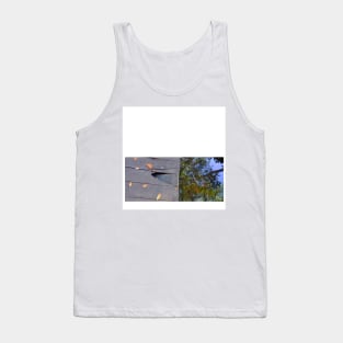 celestun ria wetland ecopark ecopop landscape photo in yucatan 1 Tank Top